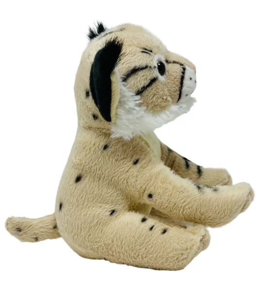 Bobcat Cub Conservation Critter Canyonlands Natural History Association