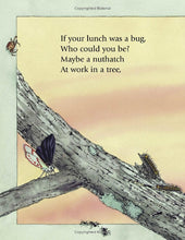 Load image into Gallery viewer, Bugs for Lunch