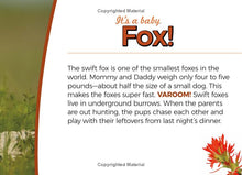 Load image into Gallery viewer, Whose Baby Butt?