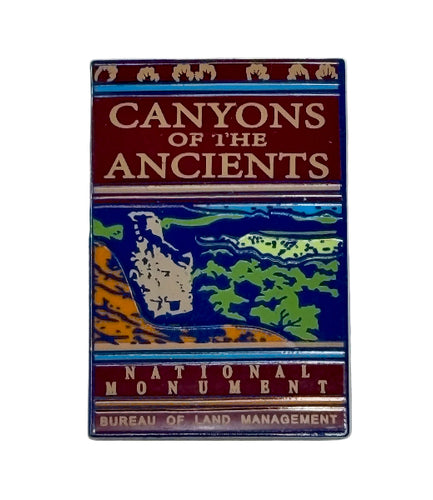 Canyons of the Ancients Lapel Pin