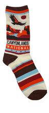 Load image into Gallery viewer, Canyonlands Illustrated Socks
