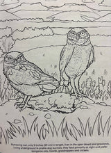 Load image into Gallery viewer, Southeastern Utah Public Lands Coloring Book