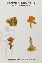 Load image into Gallery viewer, Canyon Country Wildflowers Pin Set