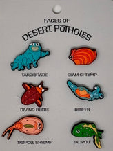 Load image into Gallery viewer, Desert Pothole Shoe Charms