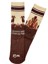 Load image into Gallery viewer, Canyonlands Big Horn Socks