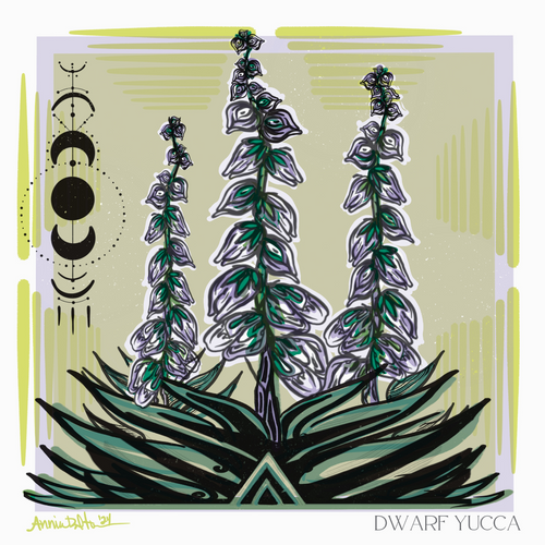 Dwarf Yucca Print