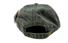 Load image into Gallery viewer, Canyonlands Natural History Association Lizard Hat