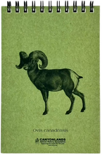 Load image into Gallery viewer, Bighorn Sheep Explorer Pad