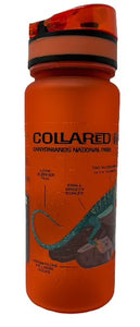 Collared Lizard Facts Bottle