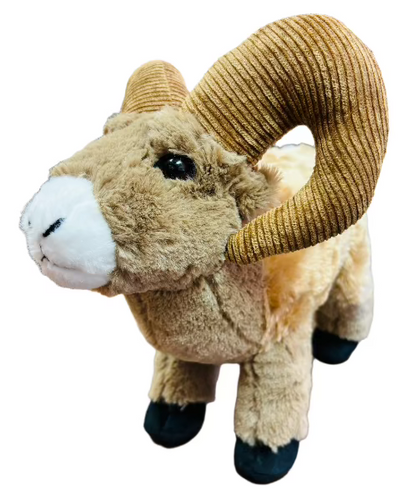 Cuddlekins Big Horn Sheep  Plush (12 inch)