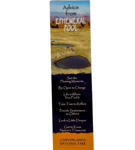 Advice from Ephemeral Pool Bookmark