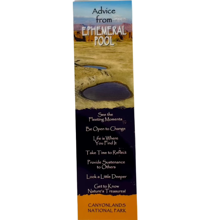 Advice from Ephemeral Pool Bookmark