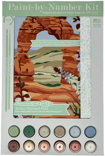 Arches Paint-by-Number Kit