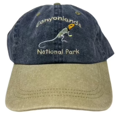 Canyonlands National Park Lizard Hat