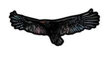 Load image into Gallery viewer, Turkey Vulture Sticker