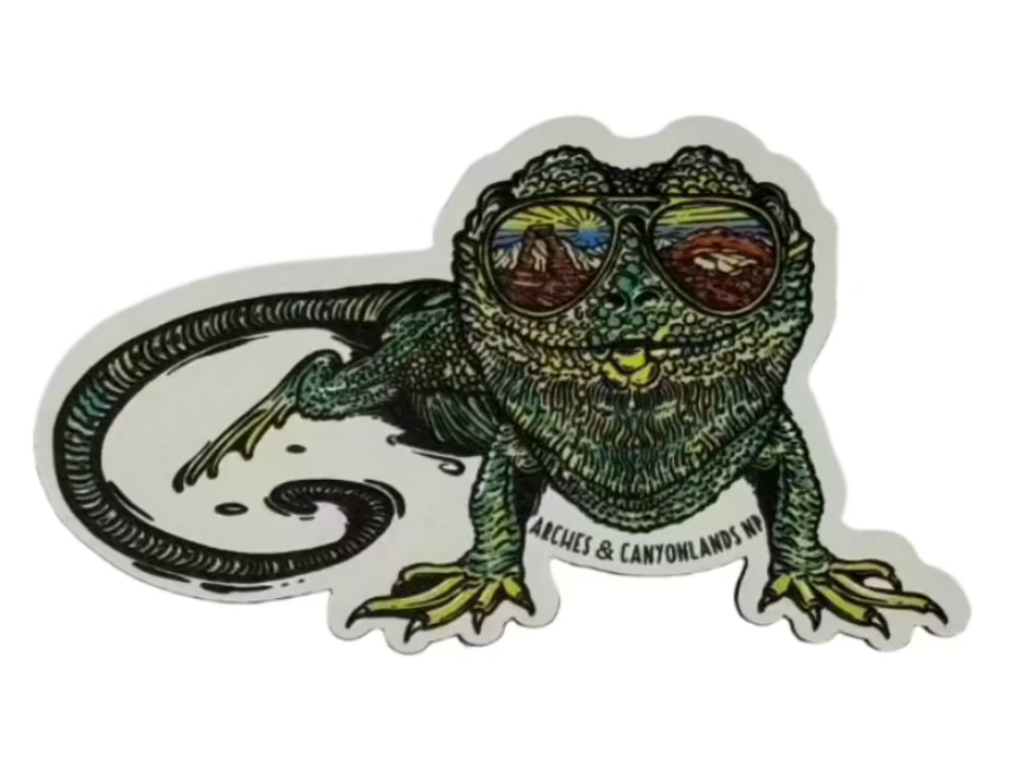 Arches & Canyonlands Lizard Reflection Magnet