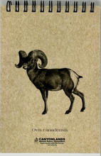 Load image into Gallery viewer, Bighorn Sheep Explorer Pad