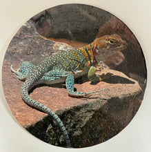 Load image into Gallery viewer, Collared Lizard Puzzle