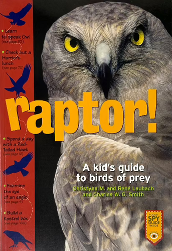 Raptor! A Kids Guide to Birds of Prey