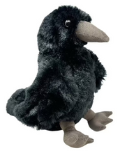 Load image into Gallery viewer, Raven Conservation Critter Plush (7 inch)