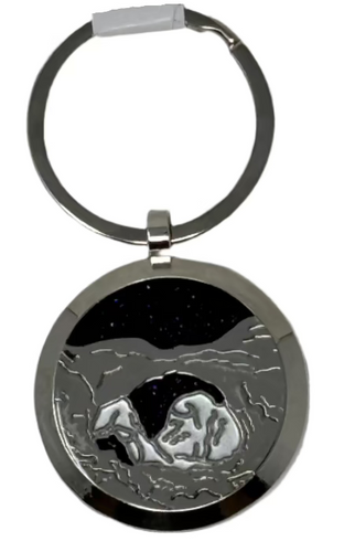 Arches Double Arch Night Sky Keychain