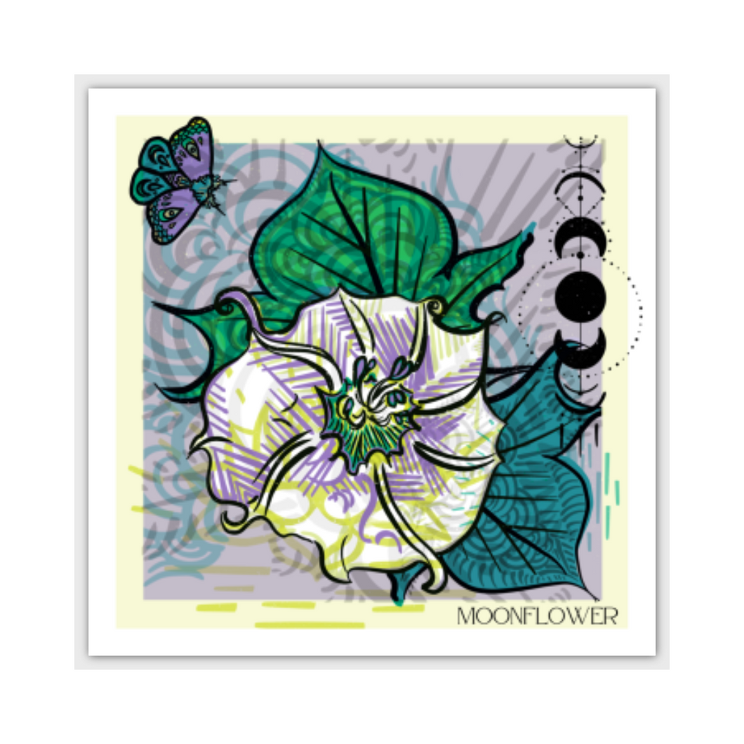 Moonflower Postcard