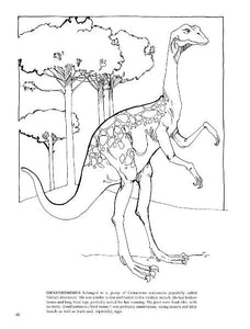The Dinosaur Coloring Book