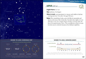 Night Sky Constellation Field Guide