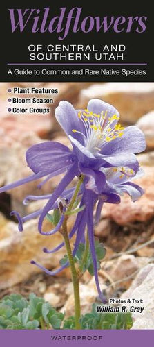 Wildflowers of Central and Southern Utah