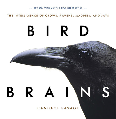 Bird Brains  - The Intelligence of Crows, Ravens, Magpies, and Jays