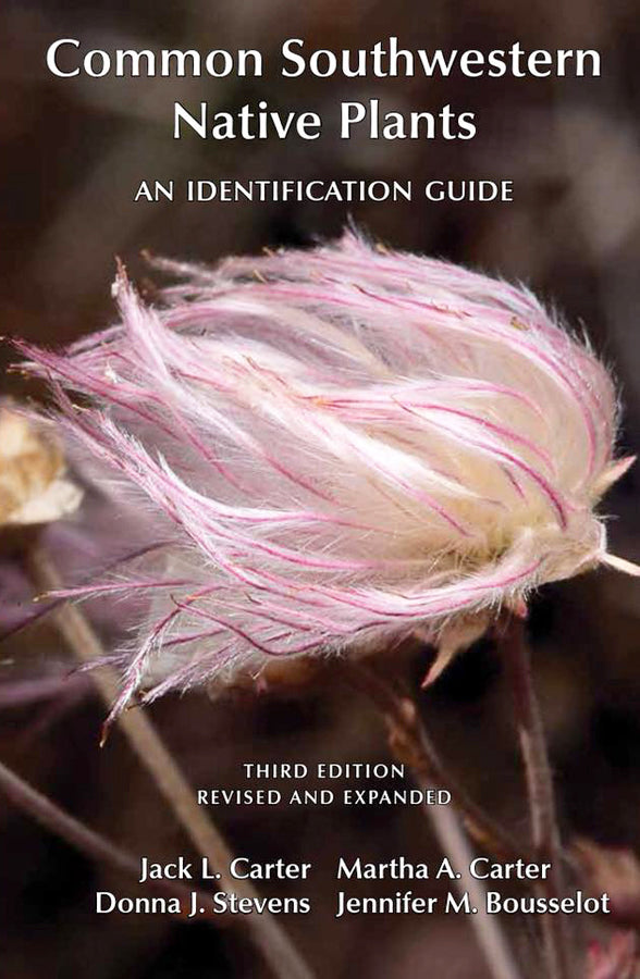 Common Southwestern Native Plants: An Identification Guide