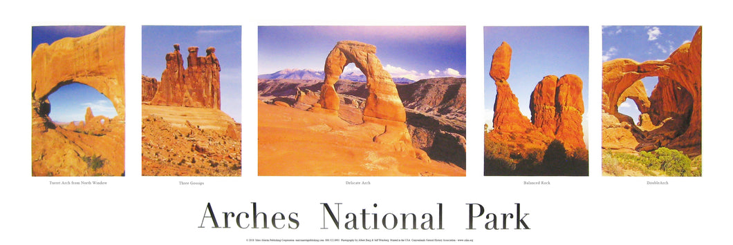 Five Views of Arches National Park Poster