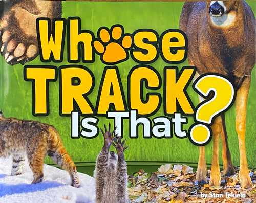 Whose Track Is That?