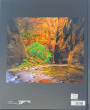 Load image into Gallery viewer, Utah&#39;s National Parks Hardback