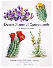 Load image into Gallery viewer, Desert Plants Notecard Set