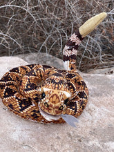 Load image into Gallery viewer, Rattlesnake Puppet