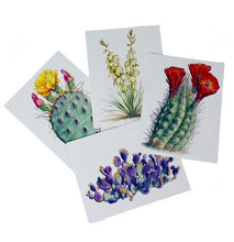 Load image into Gallery viewer, Desert Plants Notecard Set