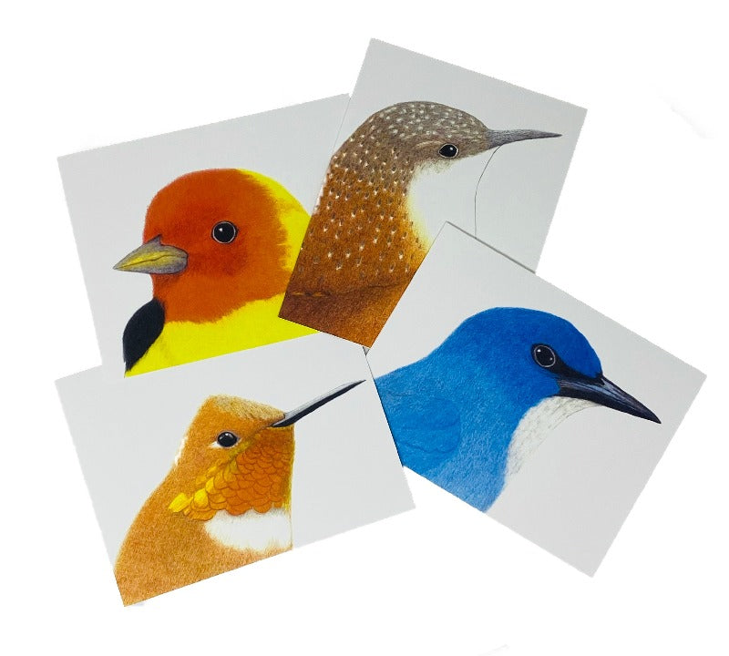 Birds of Southeast Utah Notecard Set