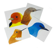 Birds of Southeast Utah Notecard Set of 4