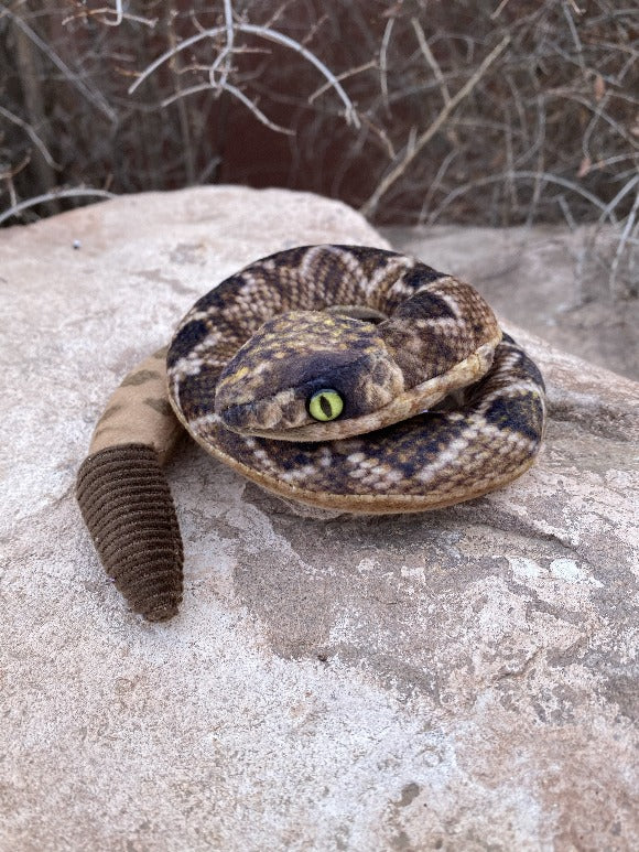 Multiple Rattle Snakes Mini Rattle Snakes