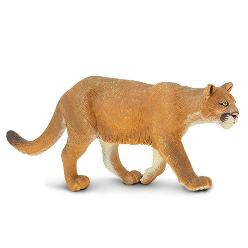 Wild Safari Mountain Lion